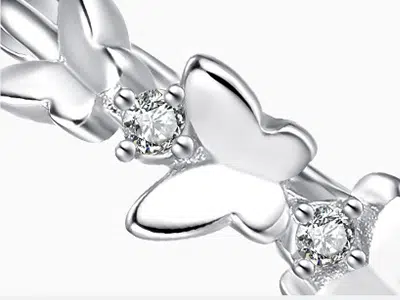 Schmetterling im Detail